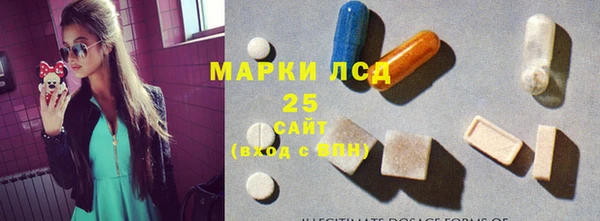 винт Гусев
