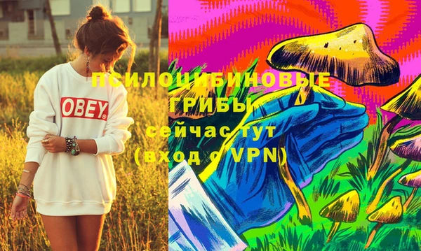 винт Гусев