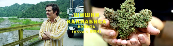 винт Гусев