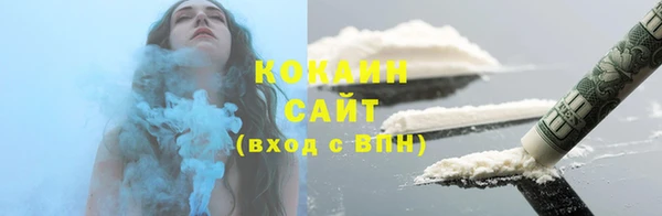 винт Гусев